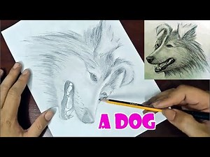 How to draw a simple 3d dog on paper for beginners