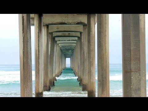 UCSD Scripps Pier | Dog-Friendly, Morning Walk #ucsd #sandiegotrails #beachhiking