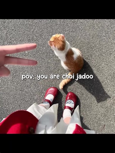 Exploring Choi Jadoo's Unique Journey
