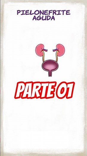 PIELONEFRITE - O que é, sintomas e como tratar (PARTE 01)