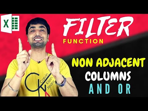 Filter Function Non Adjacent Columns and Rows | Filter Function with AND OR