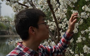 3DMax 2015 基础教学