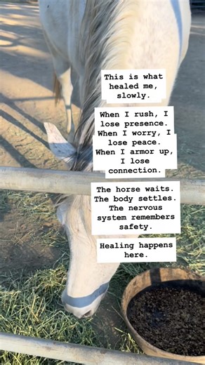 Angela Schellenberg on Instagram: "Grief does not need fixing. It needs safety, time, and attunement. Horses never rush the nervous system. They wait until your body feels safe enough to land. This is why somatic healing works. This is why we heal in relationship. If you are grieving and craving this kind of presence, join us at my Healing With Horses Malibu Retreat, April 30–May 3. Comment MALIBU RETREAT and I will send you the details."