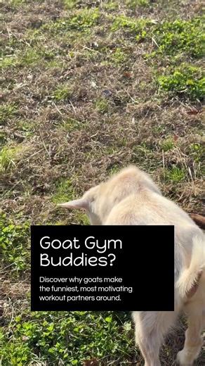 When Your Workout Buddy Is a Goat