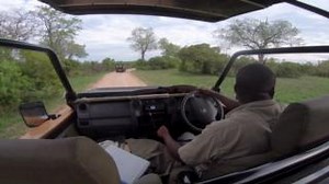 Experience exclusive game viewing when staying at Jock Safari Lodge...and for those with long lenses, we offer bean bags to provide that added support when taking that perfect image. On board with ranger Laz. Legendary experiences at Jock Safari Lodge. #untamed #untouched #unforgettable #jocksafari #jocksafarilodge #krugerpark #krugernationalpark #wildlifephotography Video by Chase Björnson Creative 🎬 | Jock Safari Lodge