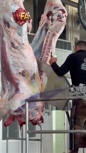 Amazing Automatic Beef Splitting Saw How To Work Meat Processing Machinery Cattle Abattoir Machine