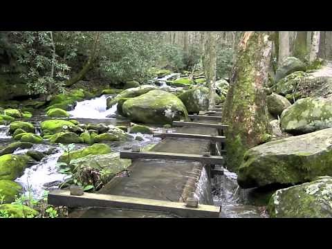 Roaring Fork Motor Nature Trail, Great Smoky Mountains National Park