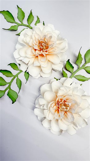 Meet my newest bloom 🤍 I created this 4-inch beauty using the Krinkled white peony petals, and she turned into a brand new flower — simply stunning. Made with white 65 lb cardstock and just a touch of Distress Oxide ink to bring her to life. Sometimes simple really is the showstopper. 🌸 Full video tutorial is up on my YouTube channel, including all the exact sizes you’ll need to create this flower from start to finish. #photofabpaperflowers #photofabpaperflowerstemplates #paperflowers #papercr