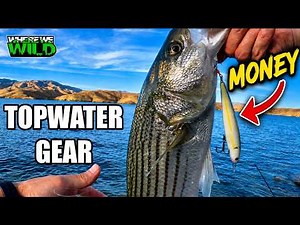The Best Gear for Chasing Striper Boils