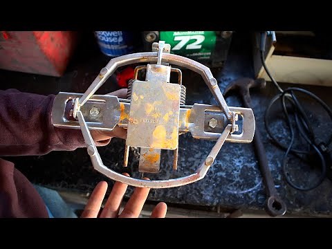 DUKE 650 OS Pro Series PREDATOR TRAP - Review