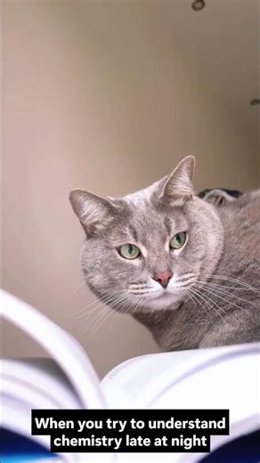 When you try to understand chemistry late at night.