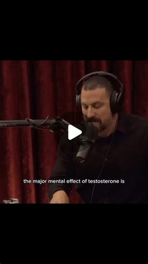 Improve Daily | Andrew Huberman on The Mental Effect of Testosterone. Credits to: @joerogan @hubermanlab #realtalk #reels #andrewhuberman #joerogan... | Instagram