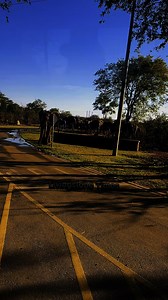 159K views · 2.9K reactions | Livingstone’s elephant corridor ❤️ | Livingstone Times | Facebook