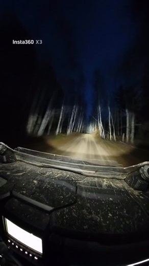 Night moves | Rick Reynolds