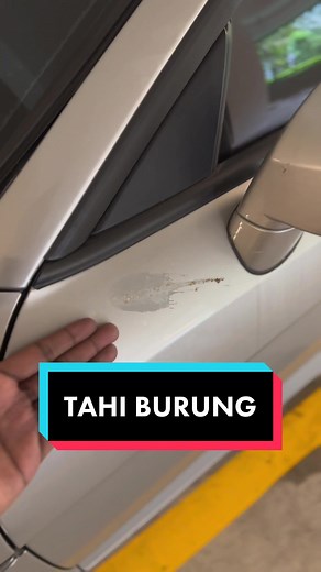 Cara Efektif Bersihkan Tahi Burung Dari Kereta