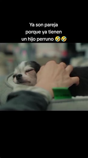 fiebre de primavera #elviskdramas #kdramas #kdramaedit #springfever #fiebredeprimavera