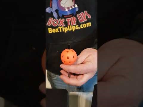 Bite Me Box Assembly video 12-14-22