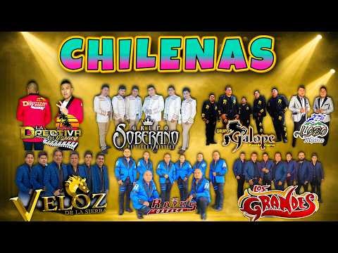 Las Mejores Chilenas de la Costa Chica, Guerrero y Oaxaca 🦎 Puras Chilenas Oaxaqueñas Mix 2026 🎶
