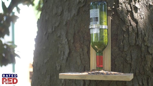 3 super easy DIY bird feeders anyone can make