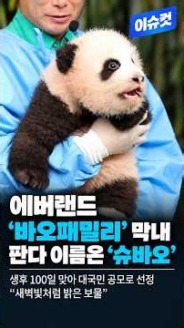 🐼 에버랜드 막내 판다 이름은 ‘슈바오’…생후 100일 맞아 공개