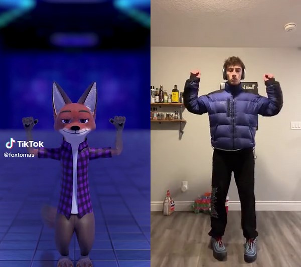 Dancing Duo: Animated Fox and Real-Life Moves