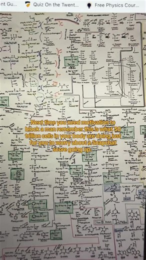 Study Motivation: Focus on What Matters