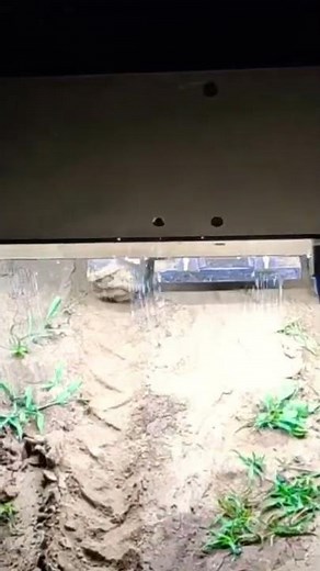 AI based Agricultural Robot - XMACHINES X100 - Weed Management via spot spraying of herbicide