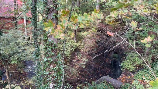 David Watson on Reels