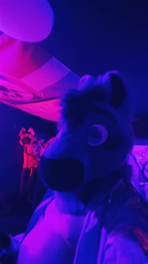 #fursuit #horsefurry #horsefursuiter horsefursu