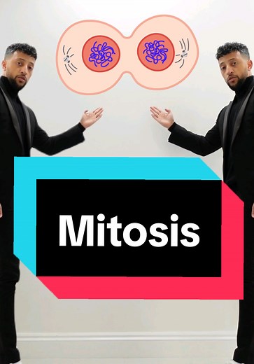 Understanding Mitosis: Biology Class Explained