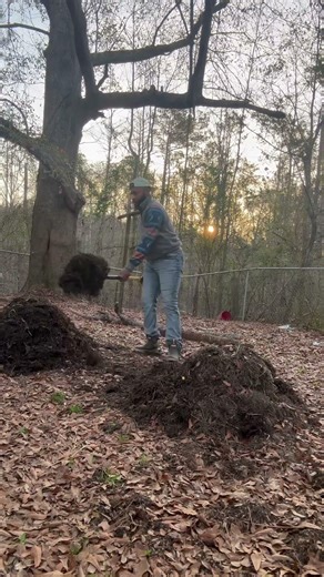 How to make compost in 14 days: Day 11 of 14 #foryou #shorts #compost #gardening #goals #education