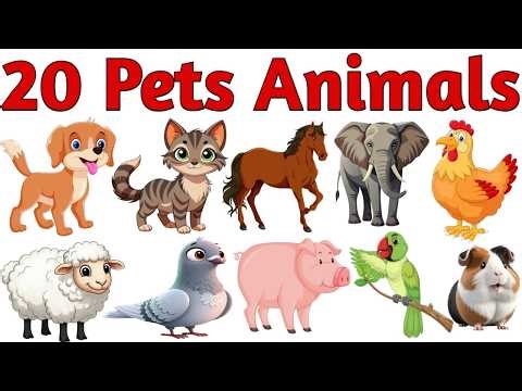 20 Domestic Animals Name in Hindi & English | Names of pets | Pet Animals Name | Animals Name