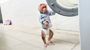 Super Smart Bibi helps Mom with laundry! | Bibi Jumps