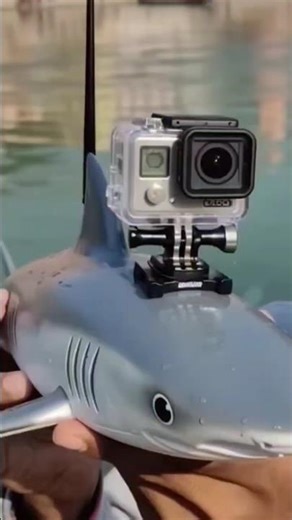 “Mini Shark Camera Ganga River Mein Chhoda 😱 | Haridwar Mein Kaid Hua Ajeeb Creature!” #shorts #yt