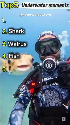 🌊🔥 Top 5 Underwater Moments You Won’t Believe!#Underwater #OceanLife #SeaCreatures #MarineLife