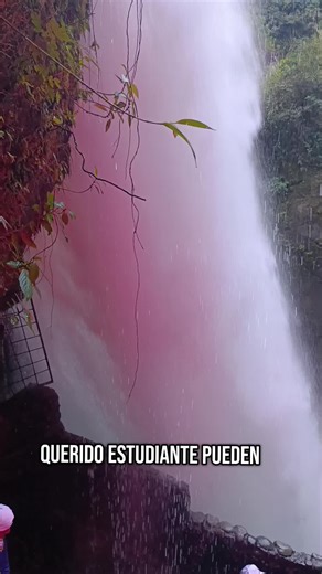 #cuidemos la naturaleza 🤩