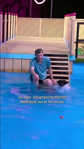 Hat diese Minute die beiden um den Sieg gebracht?🥹 | Top Dog Germany 2025