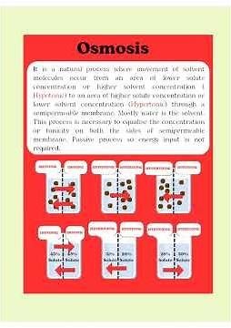 THE OSMOSIS PROCESS