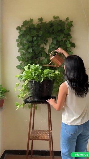 How to Water Plants in Summer ☀️ | Smart Watering Tips - Read Description🌱