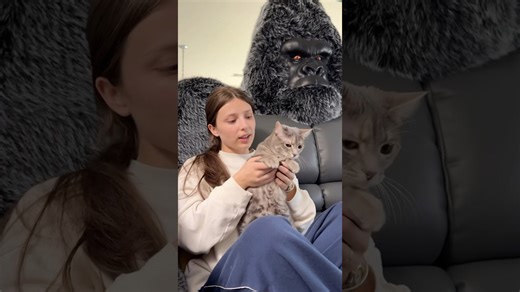 See how our furry friend handles pesky tummy issues