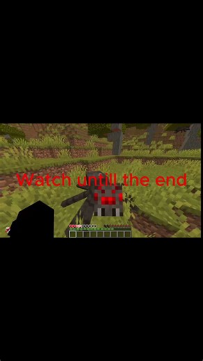 The new Best Java server (soon)