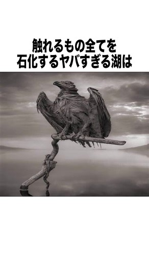 ナトロン湖：石化する湖とは？