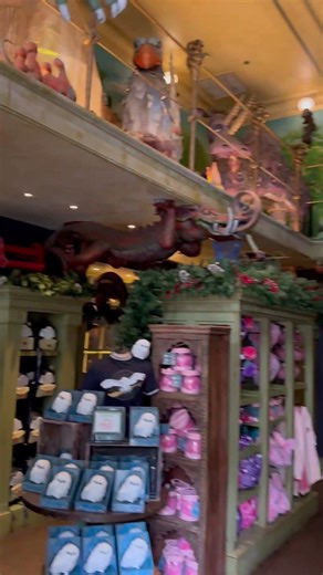 Universal Orlando Diagon Alley pet store tour