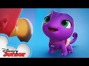 Cam the Chameleon Profile | T.O.T.S. | Disney Junior