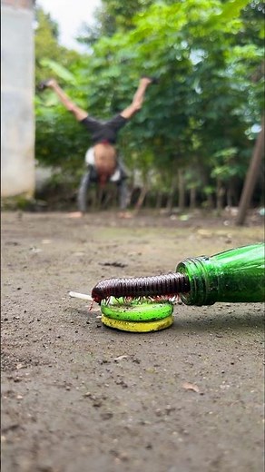 Super Elastic, Stacking two lollipops and successfully leaving the millipede in awe #milliedes