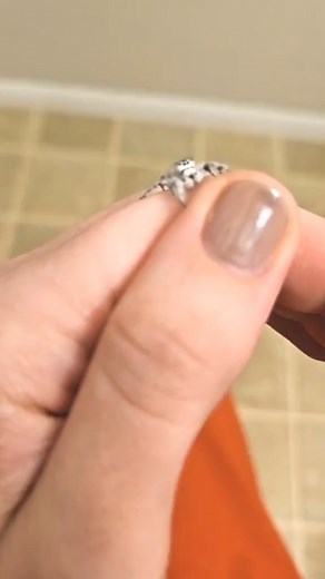 Mini RoboMuppets | Mini RoboMuppets