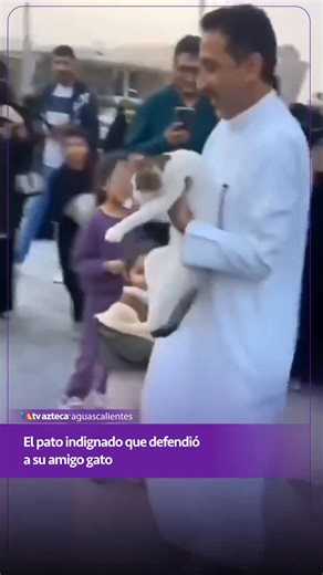 4.6M views · 91K reactions | El pato indignado que defendió a su amigo gato Un pato reaccionó con furia cuando un hombre cargó a su amigo felino, pero al final ambos animales lograron salir caminando juntos. 閭 #Animales #Amistad #Historias #Viral #Mascotas | TV Azteca Aguascalientes | Facebook