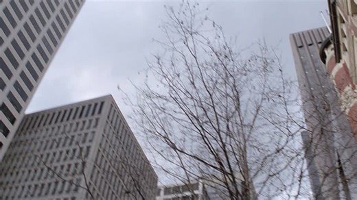 Снимок / Snapshot [1979, Австралия, ужасы, триллер, драма]