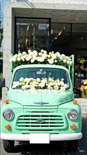 🤍🌹 White Roses – A Symbol of Peace and Love