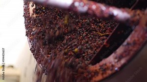 Rotating wine press expel pressed fermented grapes in a wine factory